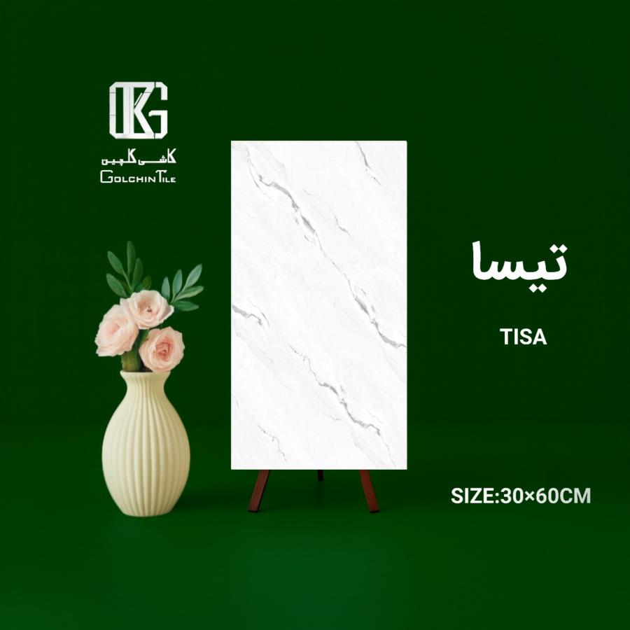 کاشی تیسا 60×30